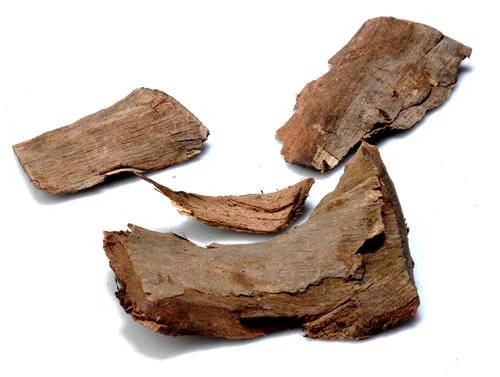 Arjuna Bark (Terminalia arjuna) used in Energyon